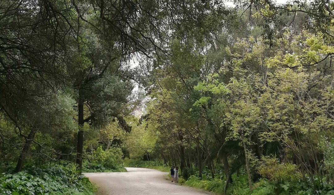 A caminhada sinodal em Santa Isabel
