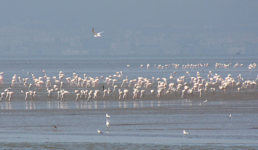 Crisma e Primeira Comunhão
