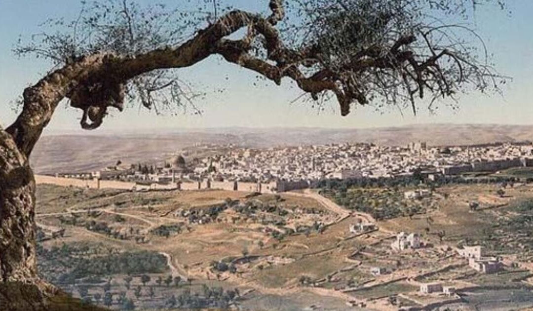 Peregrinação à Terra Santa