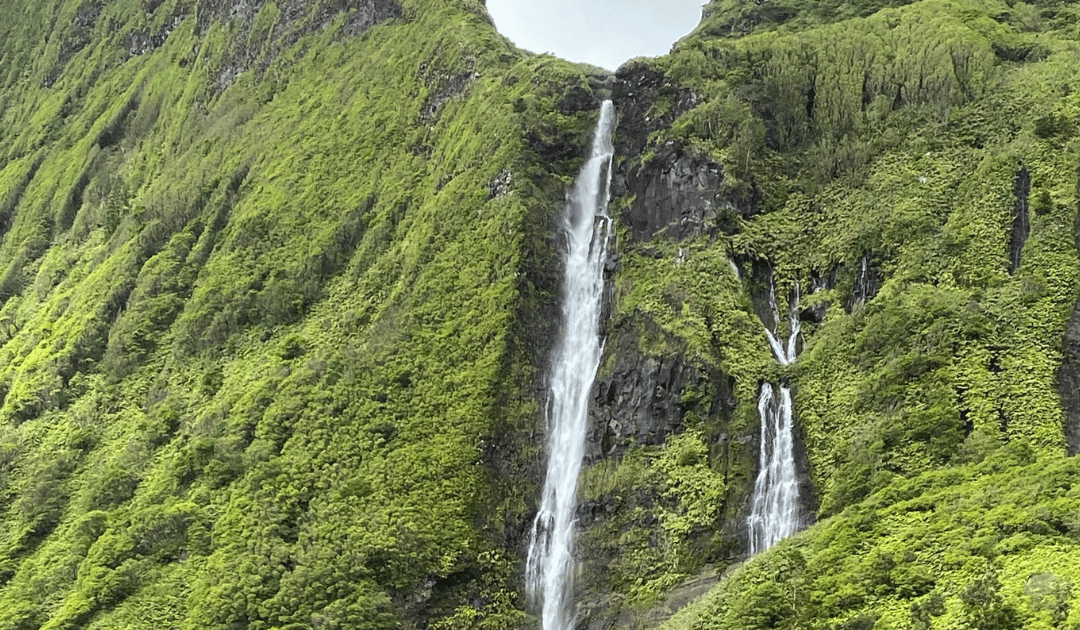 Este é o tempo da acção e do envolvimento de todos